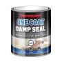 Thompson's One Coat Damp Seal White 250ml