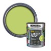 Ronseal Garden Paint Lime Zest 750ml