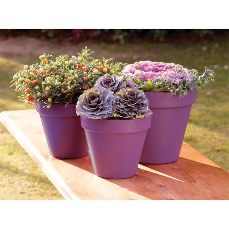 Ronseal Garden Paint Purple Berry 2.5L