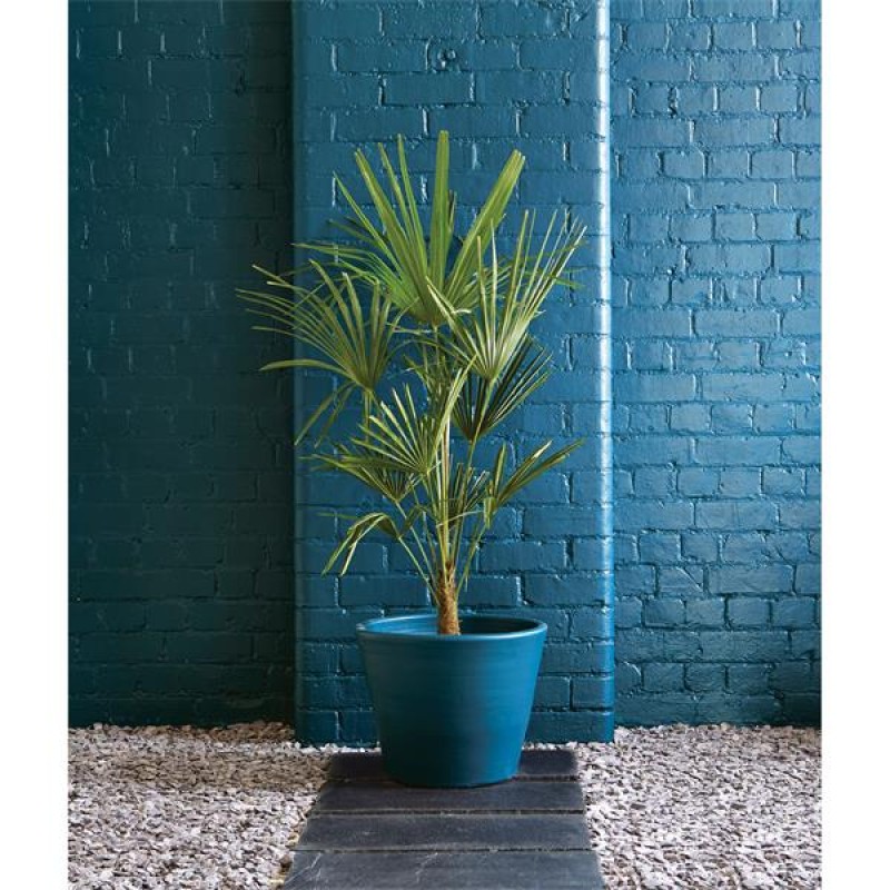 Ronseal Garden Paint Midnight Blue 2.5L