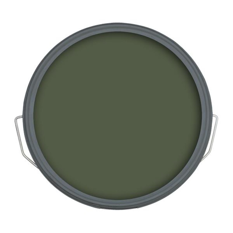 Ronseal Fence Life Plus Forest Green 5L