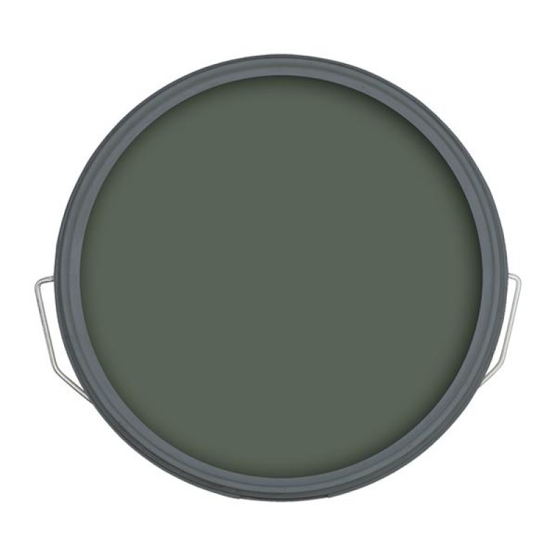 Ronseal Fence Life Plus Willow 5L