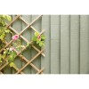 Ronseal Fence Life Plus Sage 5L