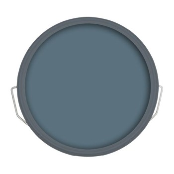 Ronseal Fence Life Plus Cornflower 5L