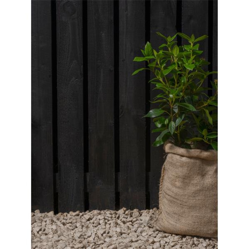 Ronseal Fence Life Plus Tudor Black Oak 5L