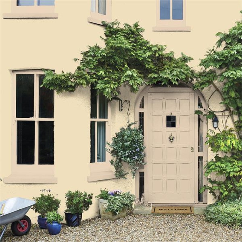 Dulux Weathershield Smooth Masonry Sandstone 250ml