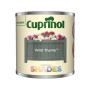Cuprinol Garden Shades Wild Thyme 125ml