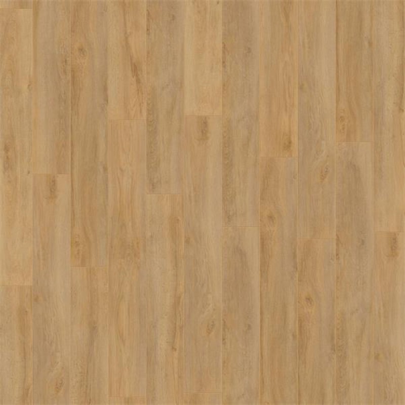 Whiteriver 12Mm Robusto 4V Premium Oak Nature - 1.293M2 Pk