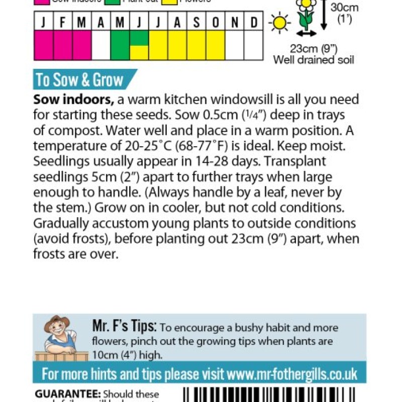 SALVIA Blaze of Fire