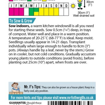 GERANIUM Mr F's Mophead Mixed F1