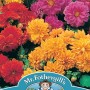 DAHLIA Dwarf Double Mixed