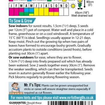 SWEET PEA Jet Set Mixed