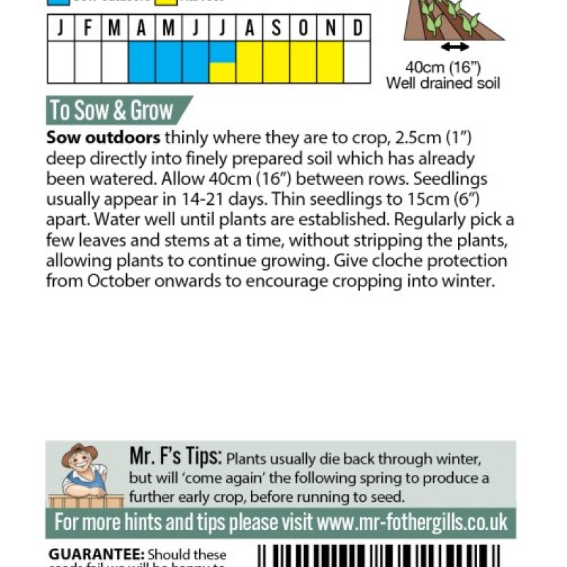 CHARD White Silver 2