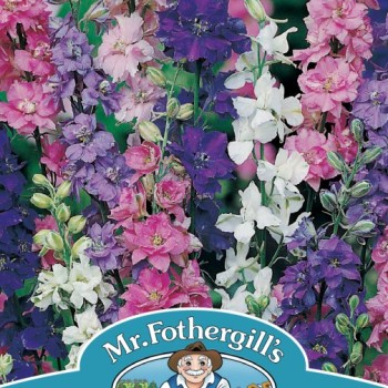 LARKSPUR Giant Imperial Mixed