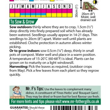 PARSLEY Plain Leaved 2