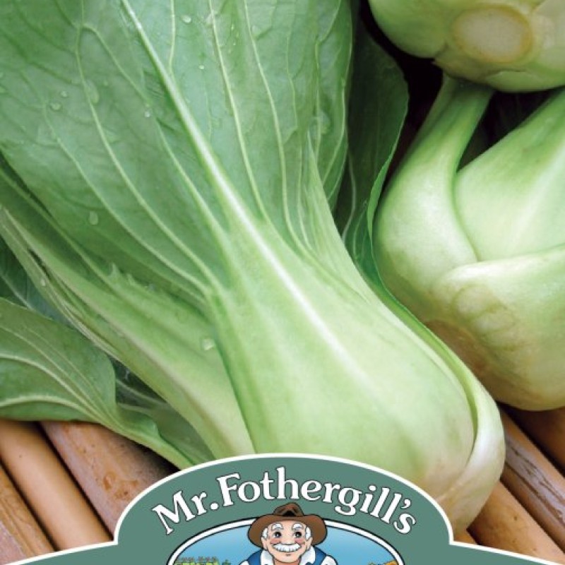 PAK CHOI Green Revolution F1