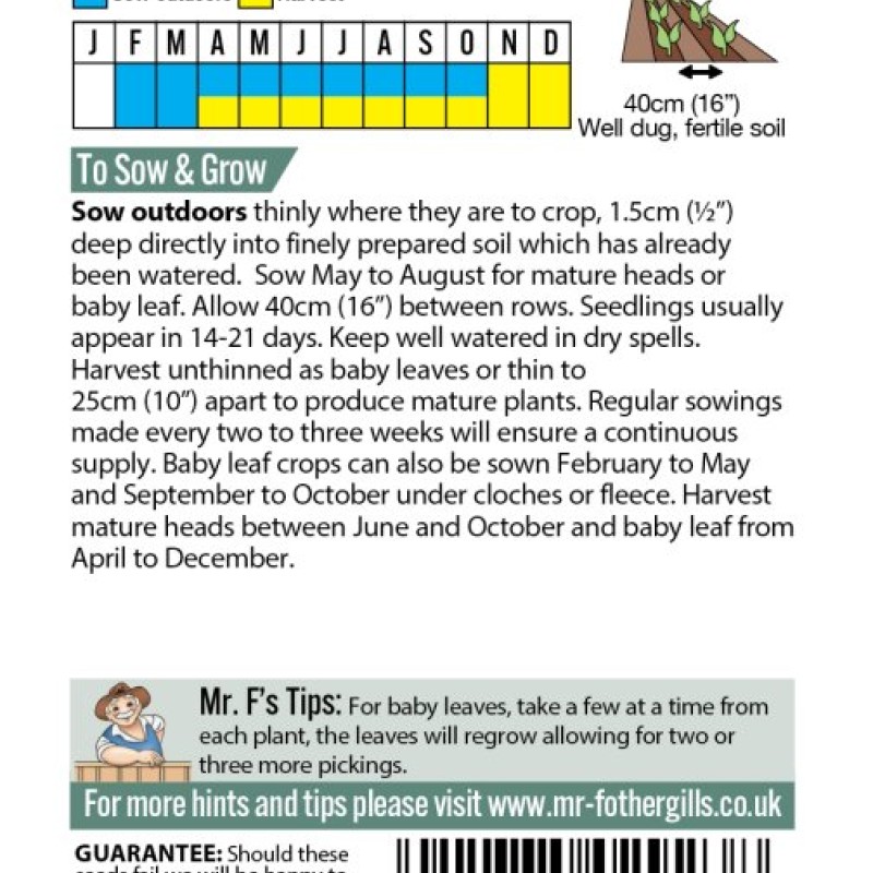 PAK CHOI Green Revolution F1