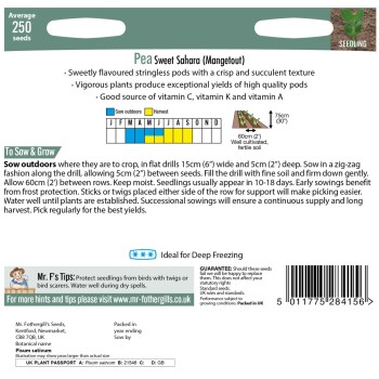 Pea (Mangetout) Sweet Sahara