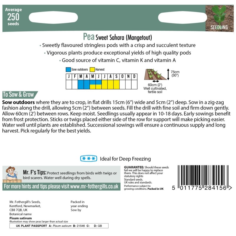 Pea (Mangetout) Sweet Sahara