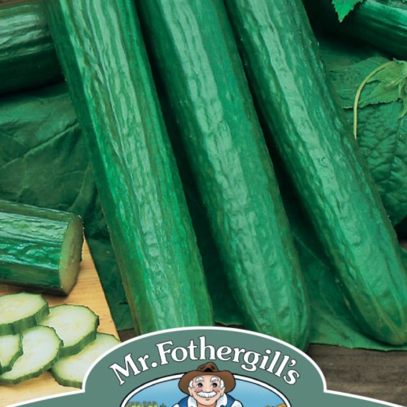 CUCUMBER Telegraph Improved