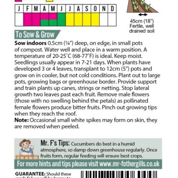 CUCUMBER Telepathy F1