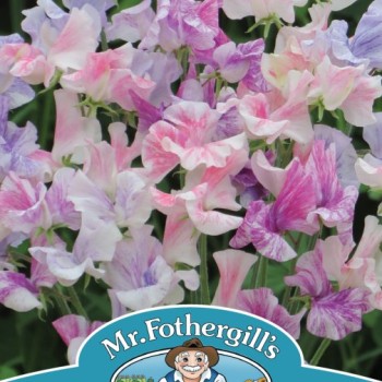 SWEET PEA Tiller Girls