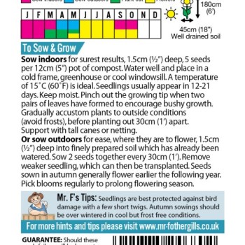 SWEET PEA Tiller Girls