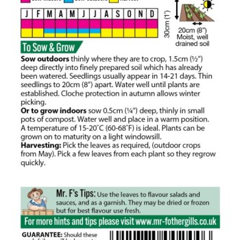 PARSLEY Moss Curled 2