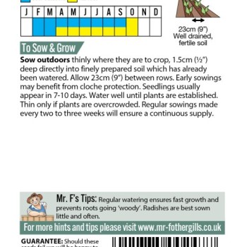 RADISH Scarlet Globe