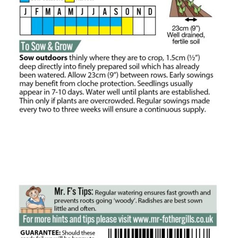 RADISH Scarlet Globe