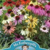 ECHINACEA Dreamcoat