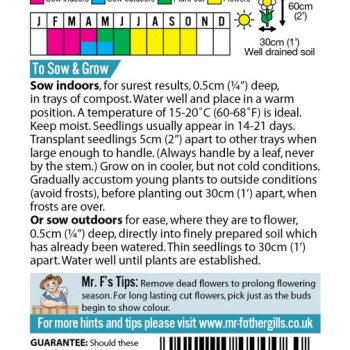 ASTER Ostrich Feather