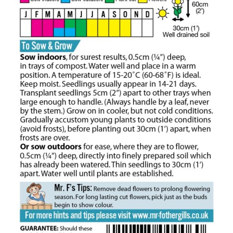 SG: CRYSTAL - STAINLESS STEEL