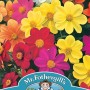 DAHLIA Mignon Mixed