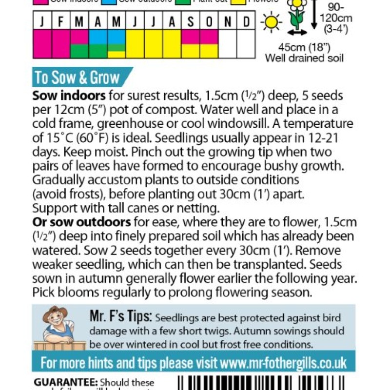 SWEET PEA Solway Velvet