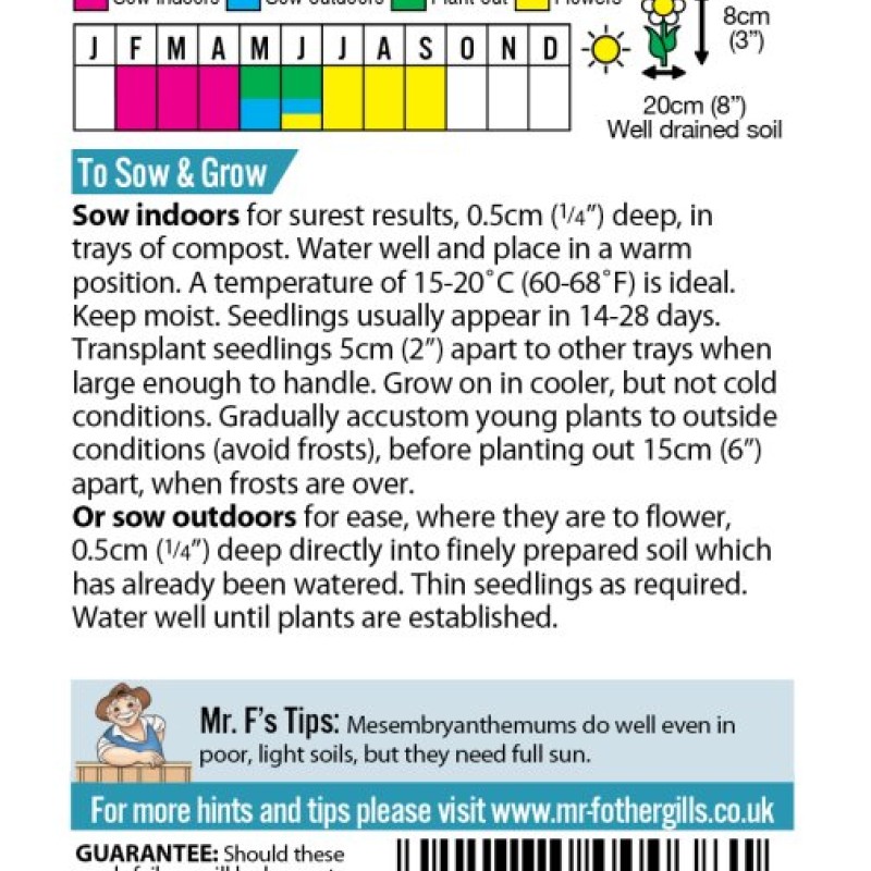 MESEMBRYANTHEMUM Livingstone Daisy Mixed