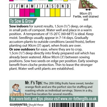 SQUASH (Winter) Sweet Dumpling