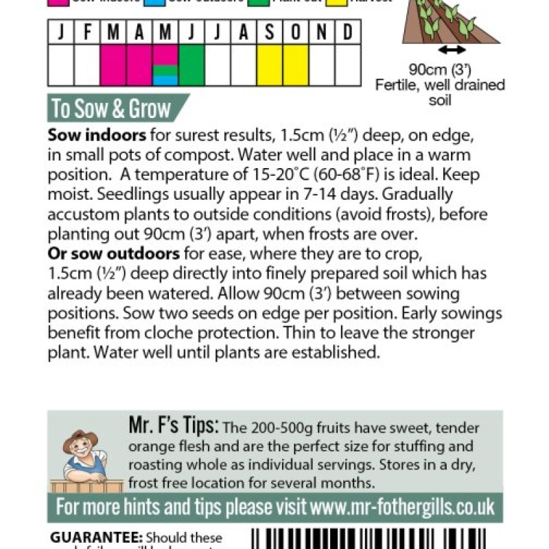 SQUASH (Winter) Sweet Dumpling