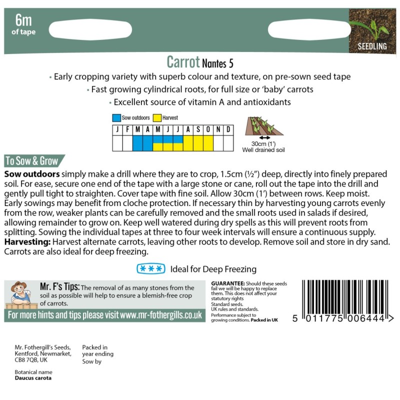 TAPE CARROT Nantes 5