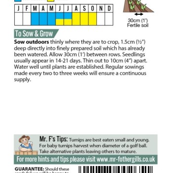 TURNIP Purple Top Milan