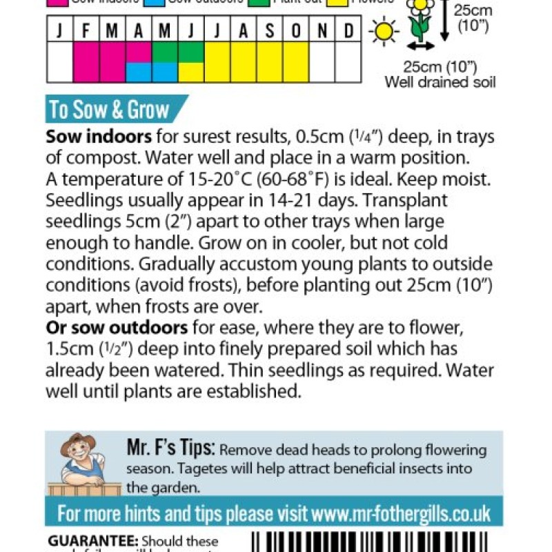TAGETES Starfire Mixed