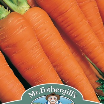 CARROT Autumn King 2