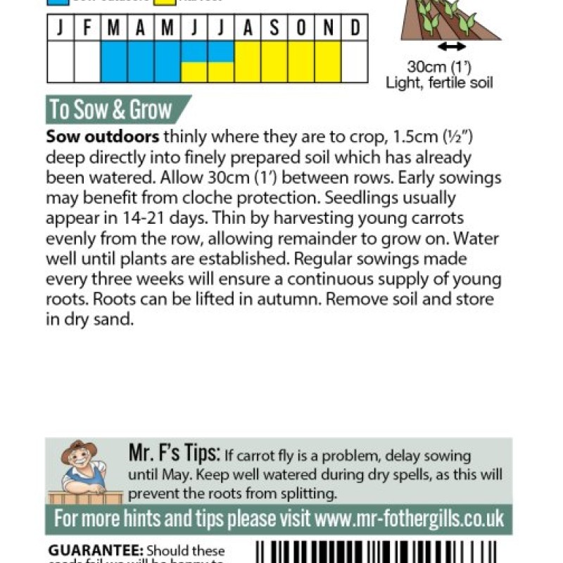 CARROT Autumn King 2