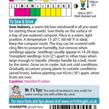 NICOTIANA sylvestris