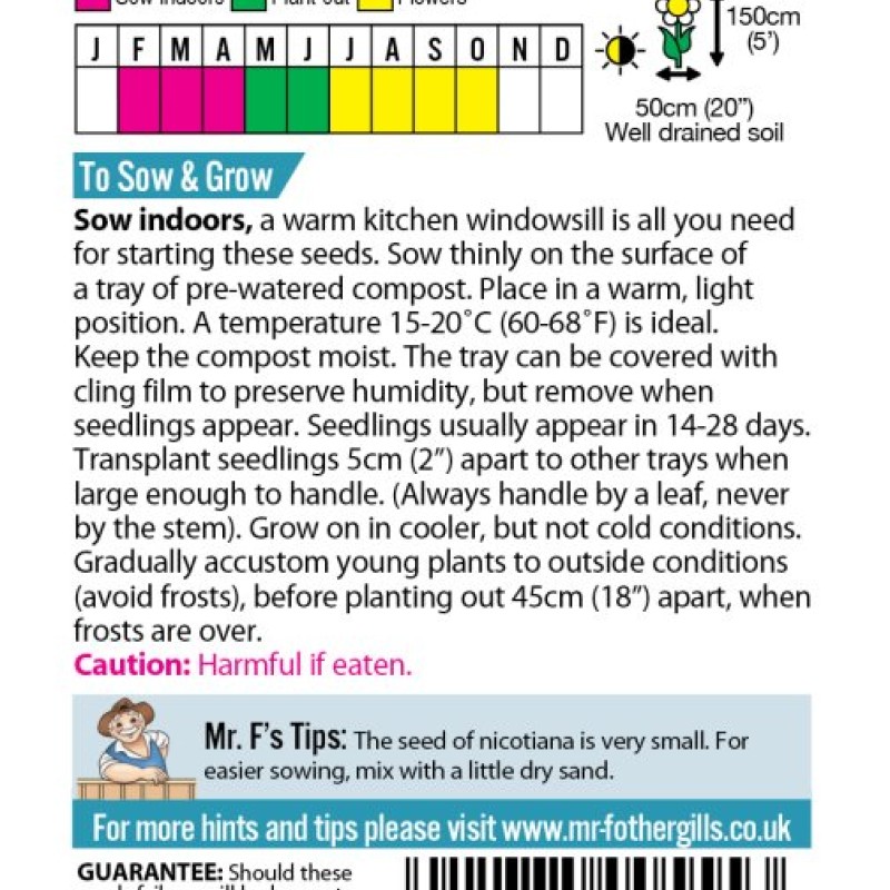 NICOTIANA sylvestris