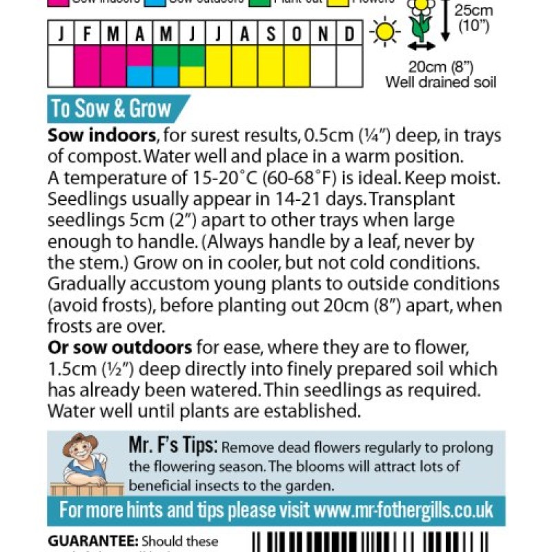 MARIGOLD (French) Red Knight