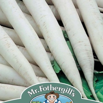 RADISH (Mooli) Mino Early