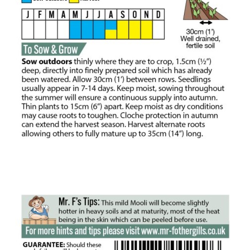 RADISH (Mooli) Mino Early