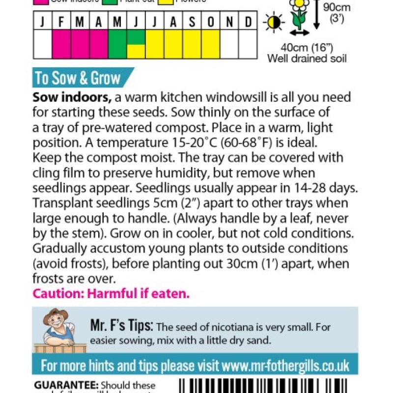 NICOTIANA Sensation Mixed