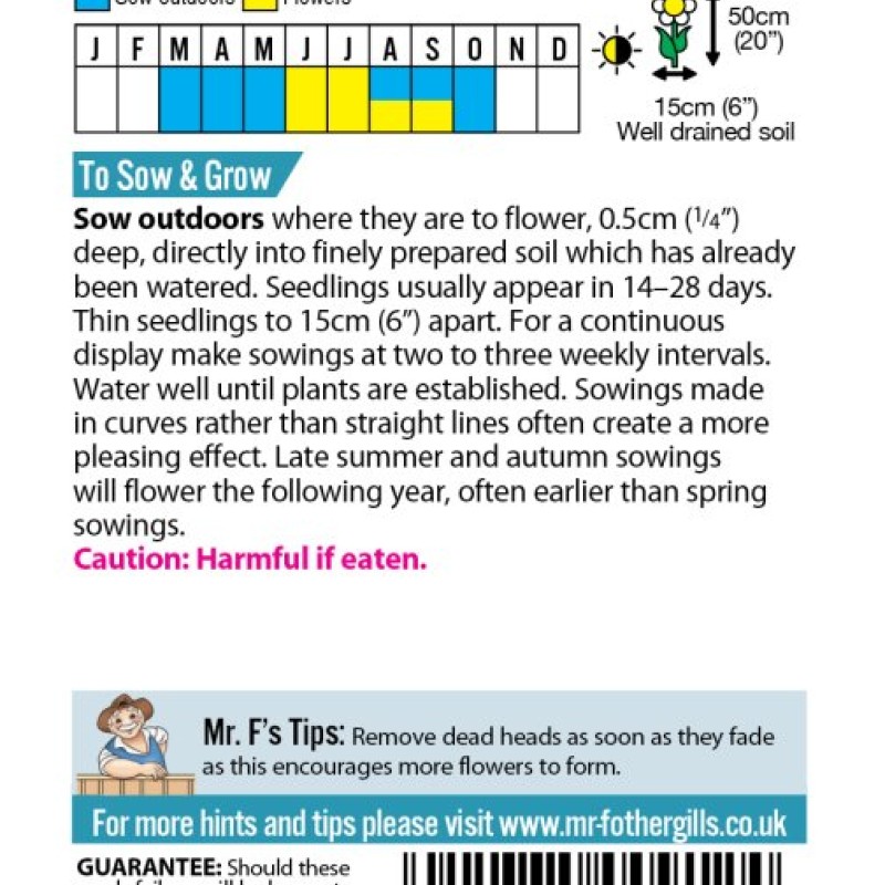 LARKSPUR Hyacinth Dwarf Mixed